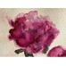 Watercolor peonies in vintage style, artist Marina Stognieva